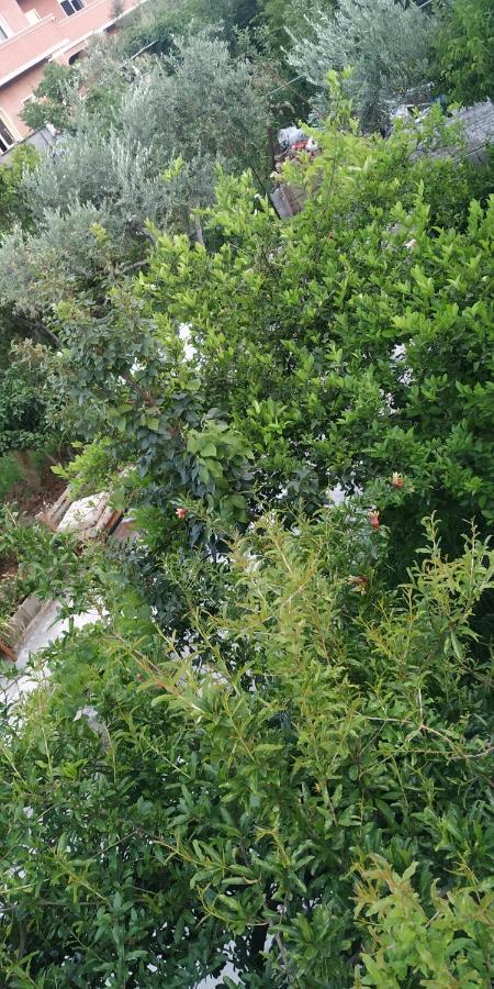 Spacious House With A Big Garden And Fire Pit Villa Tiranë Luaran gambar