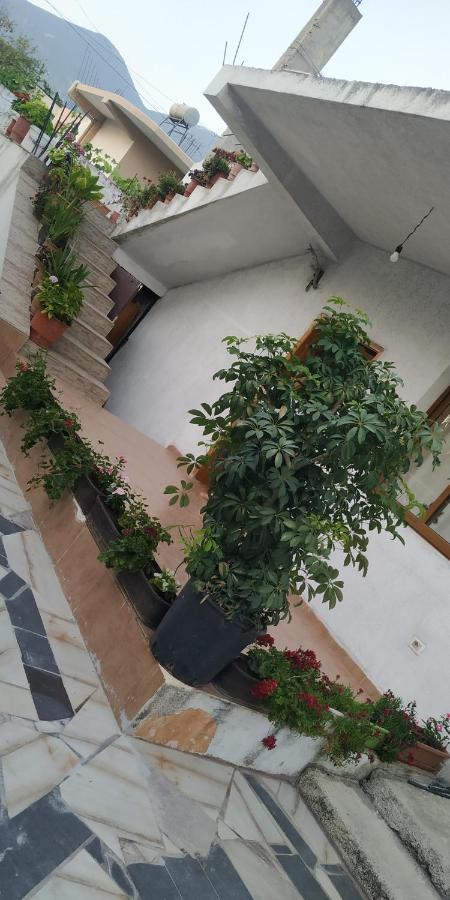 Spacious House With A Big Garden And Fire Pit Villa Tiranë Luaran gambar